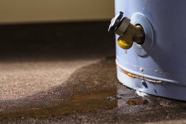 Best 24-hour water damage restoration  in Elon, NC