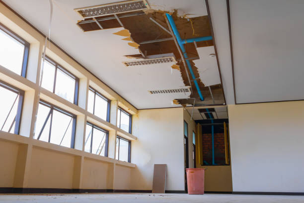 Best Flood restoration services  in Elon, NC