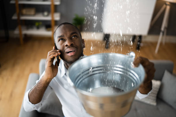 Best Ceiling water damage repair  in Elon, NC