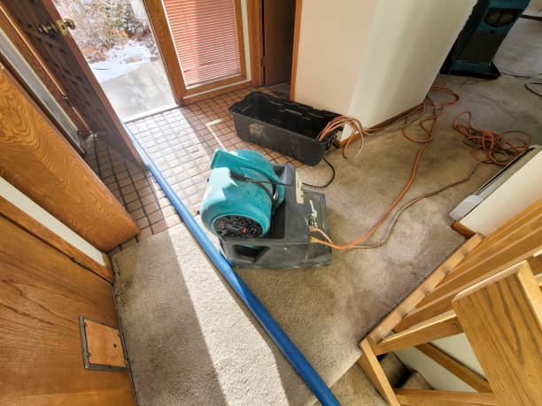 Best Professional water damage repair  in Elon, NC