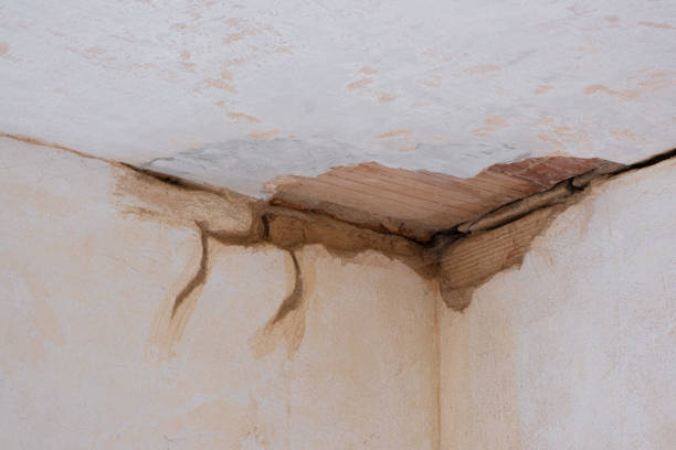 Elon, NC Water damage restoration Company