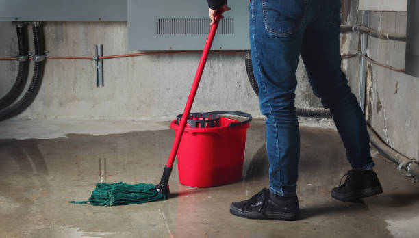 Best 24/7 water damage repair  in Elon, NC