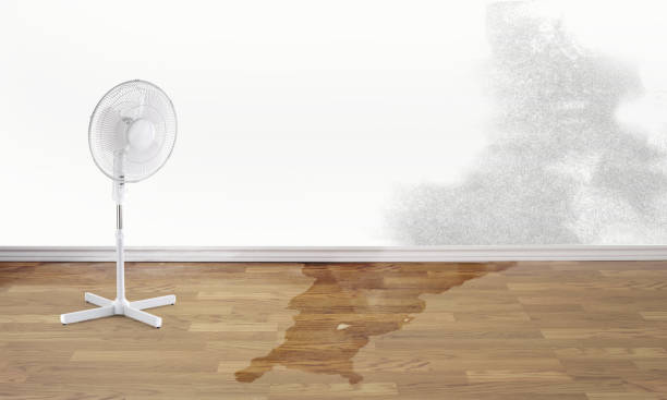 Best 24-hour water damage restoration  in Elon, NC