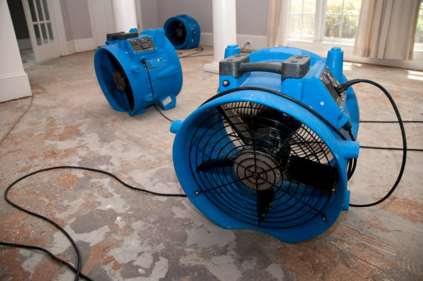 Best Commercial water damage restoration  in Elon, NC