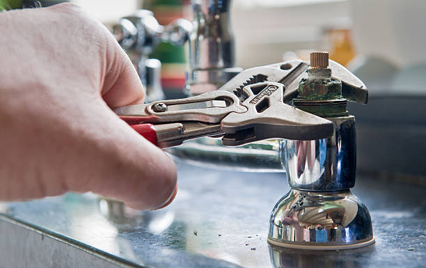 Best Mold removal after water damage  in Elon, NC