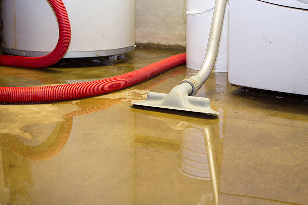 Sewage cleanup and water damage restoration in Elon, NC