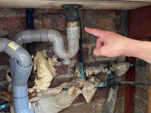 Best Residential water damage restoration  in Elon, NC