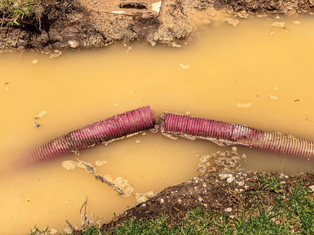Best Water damage contractors near me  in Elon, NC