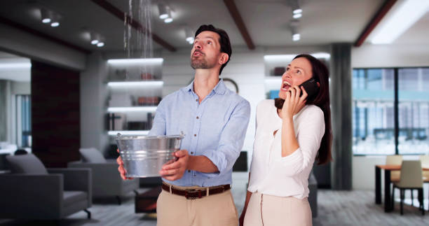 Best Water damage restoration mold remediation  in Elon, NC