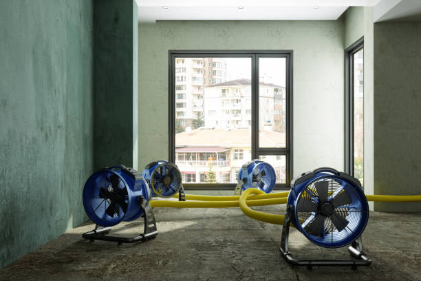 Professional Water damage restoration in Elon, NC