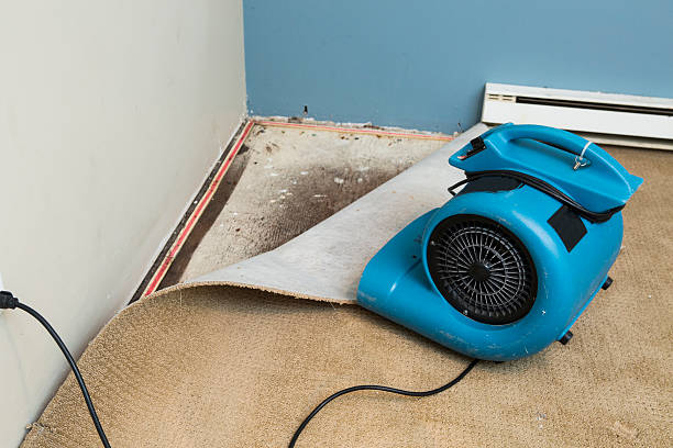 Best Water damage restoration process  in Elon, NC